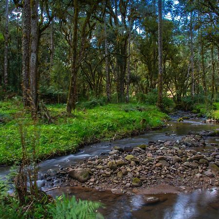 Refugio Tres Catarinas Βίλα Urubici Εξωτερικό φωτογραφία